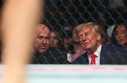 dana white