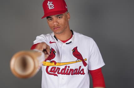 st. louis cardinals