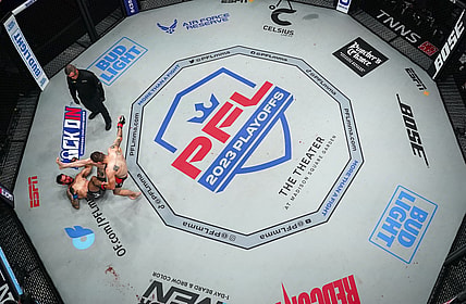 pfl mma, ufc