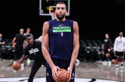 minnesota timberwolves