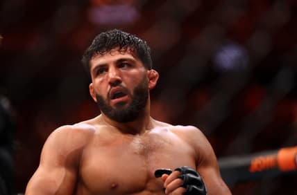 ufc qatar
