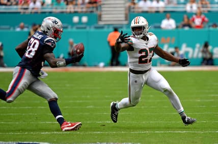 Jamie Collins