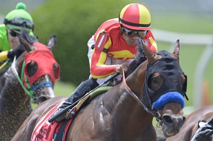 May 20, 2023; Baltimore, Maryland, USA;   Luis Saez aboard Havnameltdown (1) enters the third turn during the running of the 48th Running the Chick Lang Stakes (Grade III)  at Pimlico Race Course. Mandatory Credit: Tommy Gilligan-USA TODAY Sports