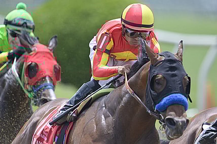May 20, 2023; Baltimore, Maryland, USA;   Luis Saez aboard Havnameltdown (1) enters the third turn during the running of the 48th Running the Chick Lang Stakes (Grade III)  at Pimlico Race Course. Mandatory Credit: Tommy Gilligan-USA TODAY Sports