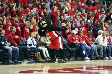 Ole Miss Rebels mascot Rebel the Bear