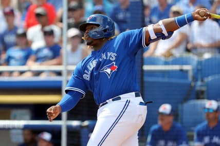 Vladimir Guerrero Jr. home run