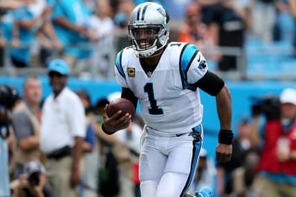Cam Newton, NFL