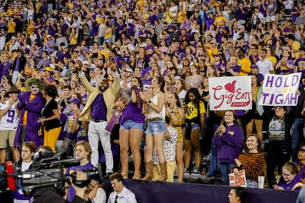 LSU fans at Tiger Stadium