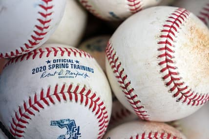 MLB baseballs in bucket