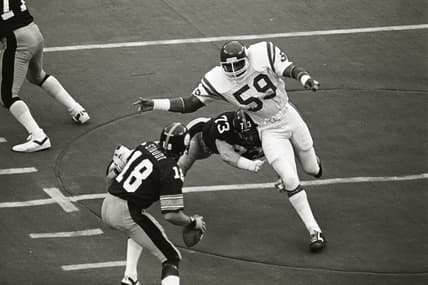 Vikings Matt Blair