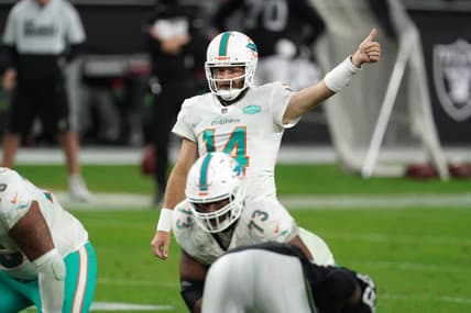 Ryan Fitzpatrick, New England Patriots