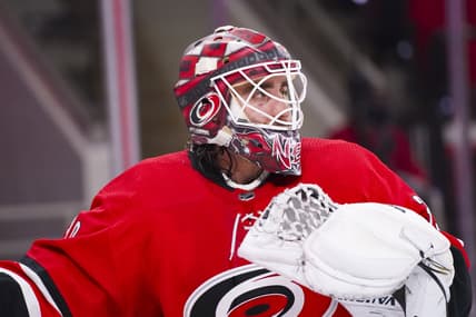 Feb 20, 2021; Raleigh, North Carolina, USA;  Carolina Hurricanes goaltender Alex Nedeljkovic (39) looks on against the Tampa Bay Lightning during the third period at PNC Arena. Mandatory Credit: James Guillory-USA TODAY Sports
