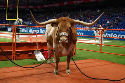 Dec 29, 2020; San Antonio, TX, USA; Texas Longhorns mascot Bevo XV during the Alamo Bowl against the Colorado Buffaloes at the Alamodome. Mandatory Credit: Kirby Lee-USA TODAY Sports