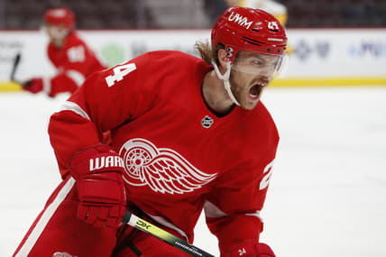Feb 25, 2021; Detroit, Michigan, USA; Detroit Red Wings defenseman Jon Merrill (24) yells out during the second period against the Nashville Predators at Little Caesars Arena. Mandatory Credit: Raj Mehta-USA TODAY Sports