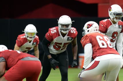NFL: Arizona Cardinals Training Camp