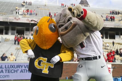 Nov 30, 2019; Atlanta, GA, USA; Georgia Tech Yellow Jackets mascot Buzz and Georgia Bulldogs mascot Hairy Dawg after a game at Bobby Dodd Stadium. Mandatory Credit: Brett Davis-USA TODAY Sports