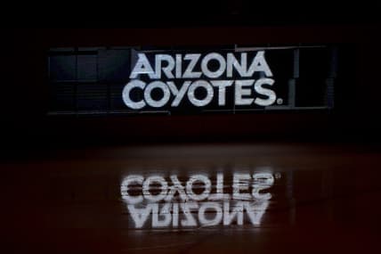 Arizona Coyotes
