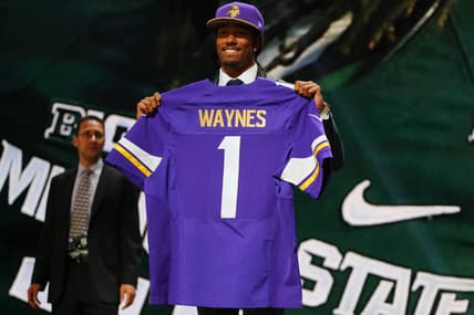Minnesota Vikings