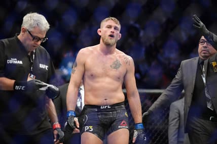 alexander gustafsson, nikita krylov, ufc