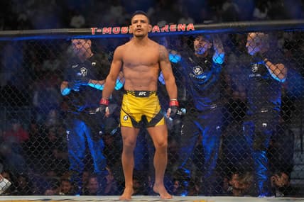 rafael dos anjos, rafael fiziev