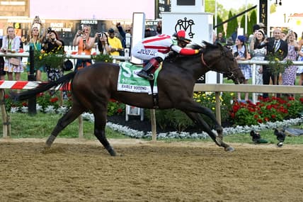 preakness stakes, early voting