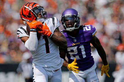 Minnesota Vikings