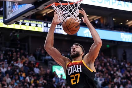 chicago bulls, rudy gobert