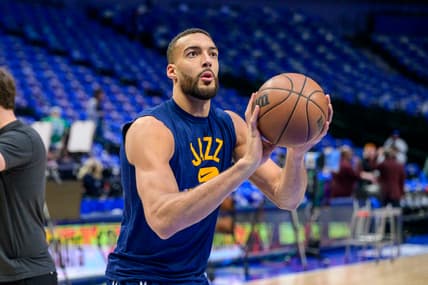 chicago bulls, rudy gobert