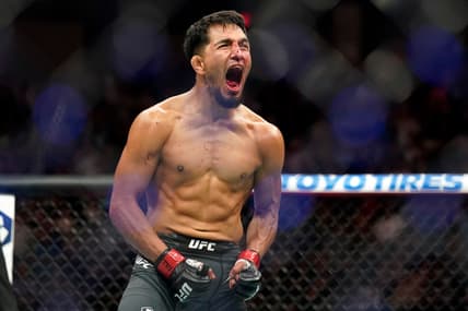 adrian yanez, ufc
