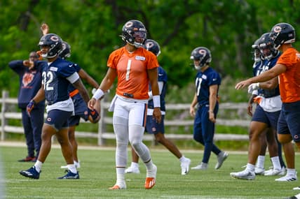 Chicago Bears