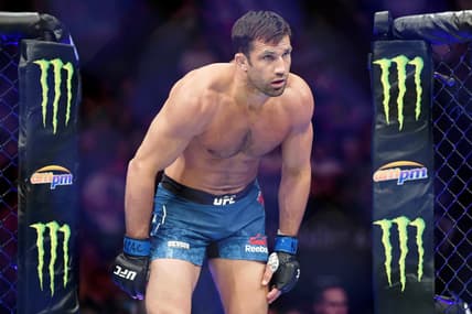 ufc 278, ufc