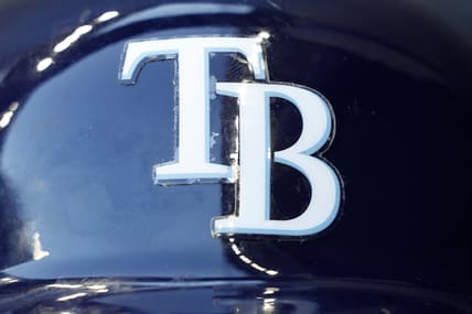 tampa bay rays