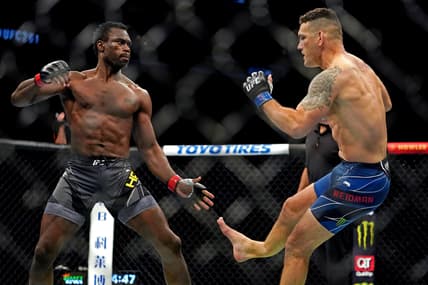 ufc, chris weidman