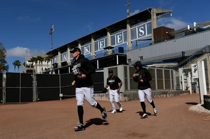 new york yankees