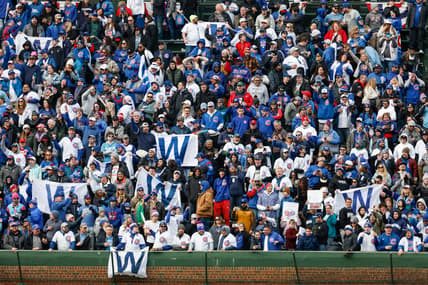 chicago cubs