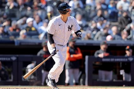 Apr 2, 2023; Bronx, New York, USA; New York Yankees first baseman Anthony Rizzo (48) watches his RBI sacrifice fly against the San Francisco Giants during the seventh inning at Yankee Stadium. Mandatory Credit: Brad Penner-USA TODAY Sports