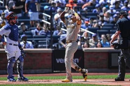 Apr 12, 2023; New York City, New York, USA; San Diego Padres left fielder Juan Soto (22) reacts after hitting a two-run home run against the New York Mets during the first inning at Citi Field. Mandatory Credit: John Jones-USA TODAY Sports