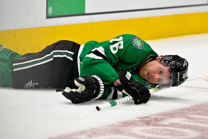 minnesota wild