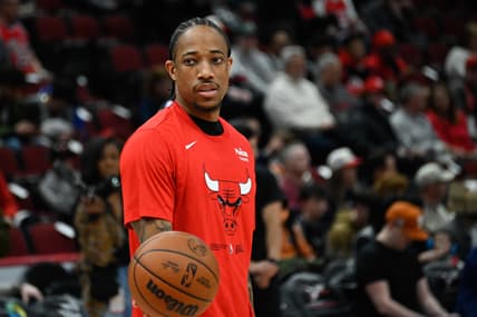 chicago bulls