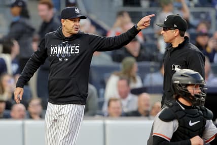 new york yankees
