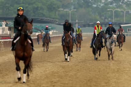 belmont stakes