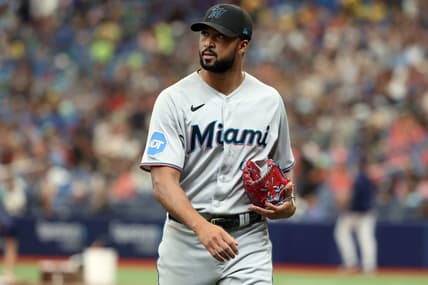 Jul 26, 2023; St. Petersburg, Florida, USA; Miami Marlins starting pitcher Sandy Alcantara (22) walks back to the dugout against the Tampa Bay Rays at the end of the third inning  at Tropicana Field. Mandatory Credit: Kim Klement-USA TODAY Sports
