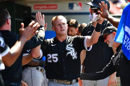 chicago white sox