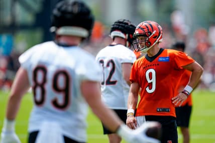 Joe Burrow injury