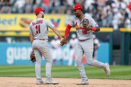 MLB: St. Louis Cardinals at Chicago White Sox