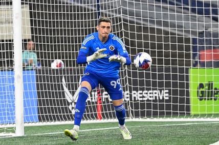 Aug 7, 2023; Foxborough, MA, USA; New England Revolution goalkeeper Djordje Petrovic (99) grabs the ball during the second half against the Queretaro FC at Gillette Stadium. Mandatory Credit: Eric Canha-USA TODAY Sports