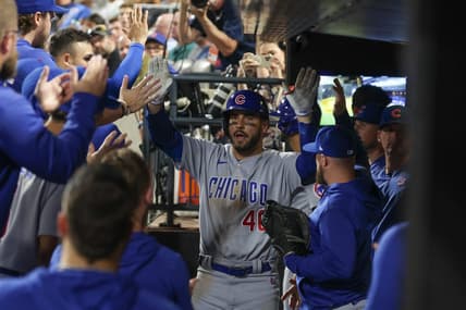 Aug 8, 2023; New York City, New York, USA; Chicago Cubs center fielder Mike Tauchman (40) celebrates with teammates after his solo home run during the eighth inning against the New York Mets at Citi Field. Mandatory Credit: Vincent Carchietta-USA TODAY Sports