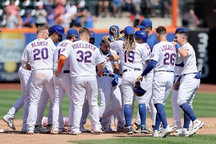 Aug 27, 2023; New York City, New York, USA; New York Mets left fielder Rafael Ortega (30) celebrates his walkoff single against the Los Angeles Angels during the ninth inning at Citi Field. Mandatory Credit: Brad Penner-USA TODAY Sports