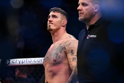 jan blachowicz