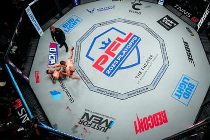 pfl, ufc
